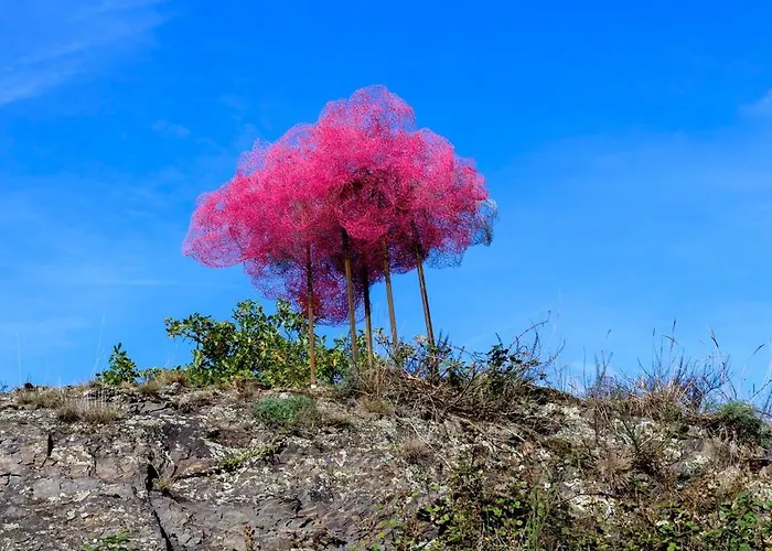 Arthostel Martine Vakantiehuis 3*